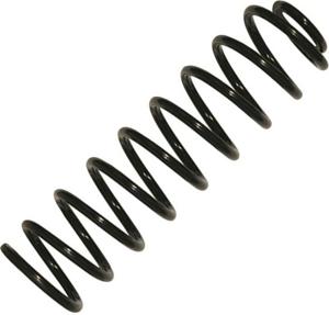 COIL SPRING SET - REAR