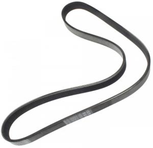 V-BELT - RIBBED (6PK1130)