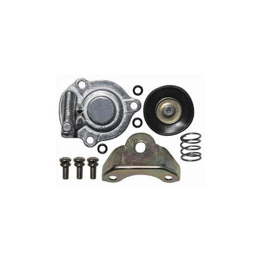 CARBURETOR KIT ACCELERATOR PUMP