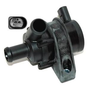 AUXILIARY WATER PUMP